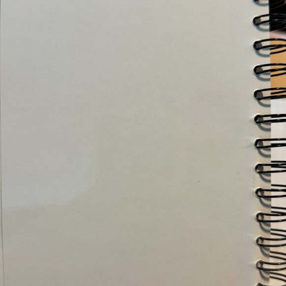 TRAEGER EVERYDAY COOKBOOK Wood Pellet Grills Recipes *TASTE THE DIFFERENCE* - Picture 16 of 16